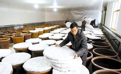 釀造食醋奔富路，食品銷售創(chuàng)輝煌——傳統(tǒng)技藝與現(xiàn)代市場的完美融合