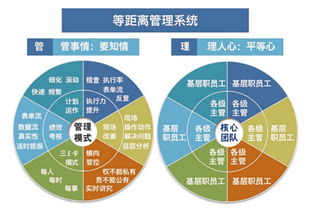 溫州企業(yè)管理咨詢 為何朗歐是您駐廠咨詢的卓越之選？