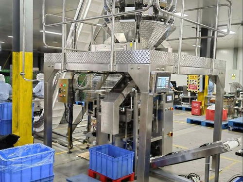 全自動膨化食品包裝設備品牌推薦 賦能蝦條、薯片、蝦片、鍋巴高效生產